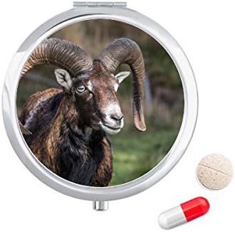 Koyun Ormancılık Bilim Doğa Hap Durumda Cep tıbbi saklama kutusu Konteyner Dağıtıcı