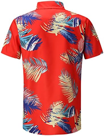 Kollu erkek Yaz Üst Bluz Casual Kısa Gömlek Bahar Baskılı Moda Plaj Erkek Gömlek Rayon boyun Üstleri Erkekler
